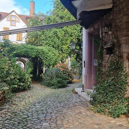 Διαμέρισμα Alte Stadtmuehle